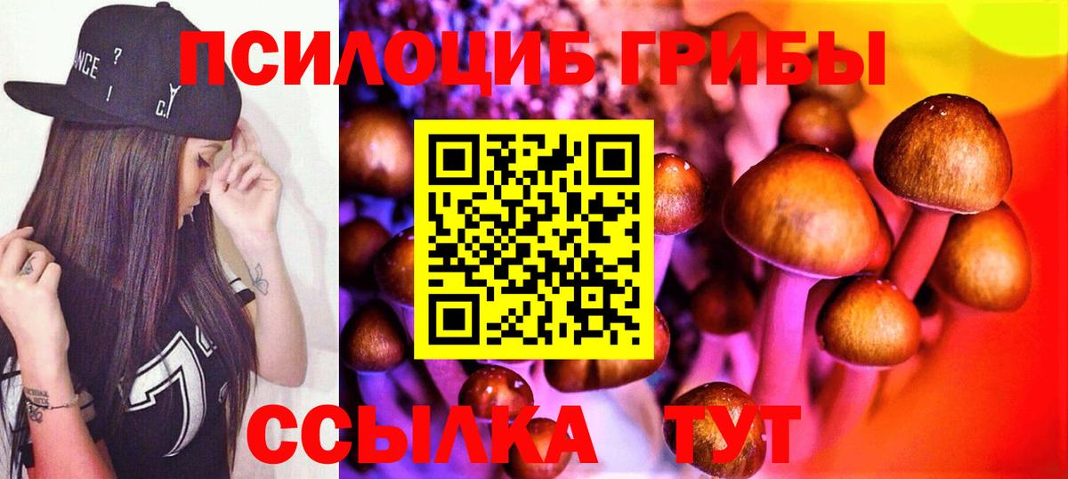 Псилоцибиновые грибы Psilocybe  Вход с VPN  Вологда 